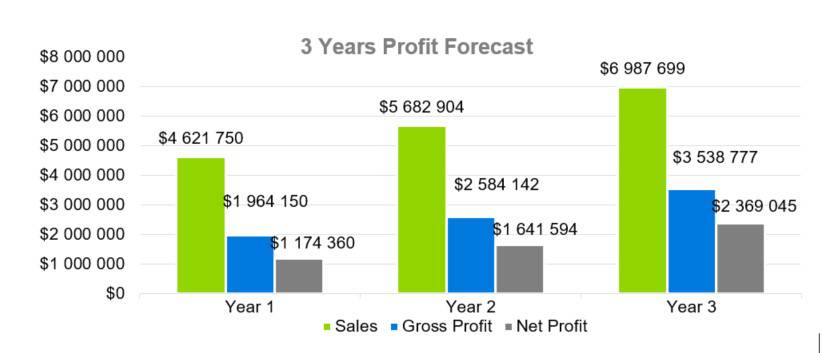 3 Years Profit Forecast - HR Consultant Business Plan Template