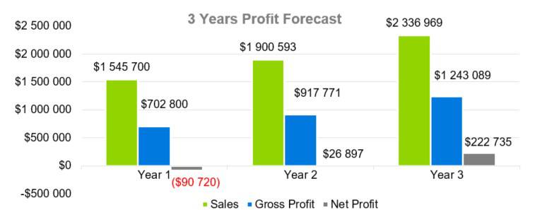 3 Years Profit Forecast - Water Park Business Plan Example