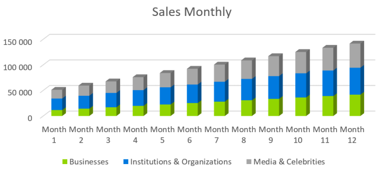 Social Media Marketing Management Business Plan Template - Sales Monthly