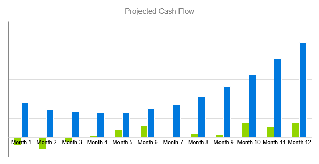 Tutoring Company Business Plan - Projected Cash Flow