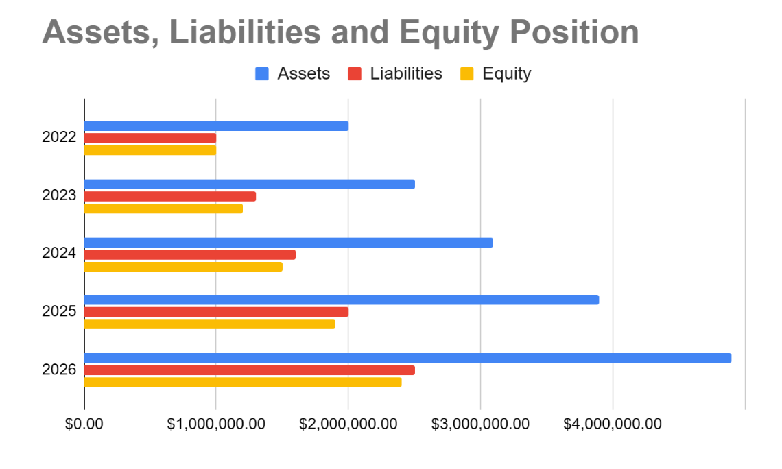 Assets, Liabilities and Equity Position - Microfinance Business Plan