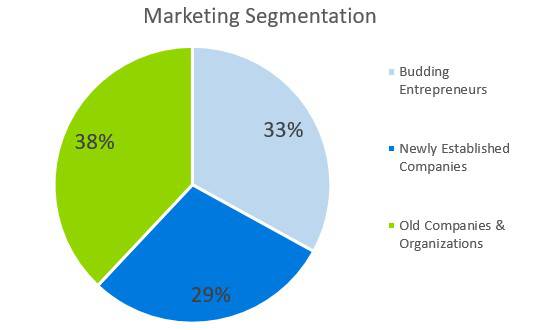 Business Consulting Firm Business Plan - Marketing Segmentation