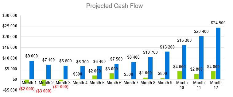 Business Consulting Firm Business Plan - Projected Cash Flow