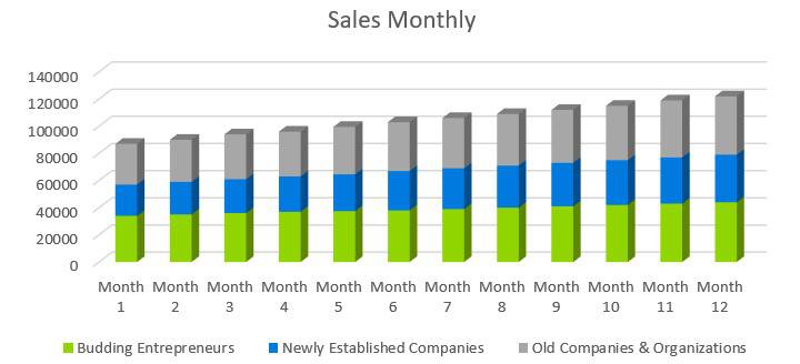 Business Consulting Firm Business Plan - Sales Monthly