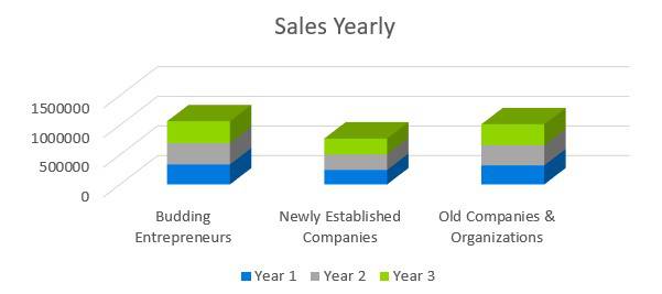 Business Consulting Firm Business Plan - Sales Yearly
