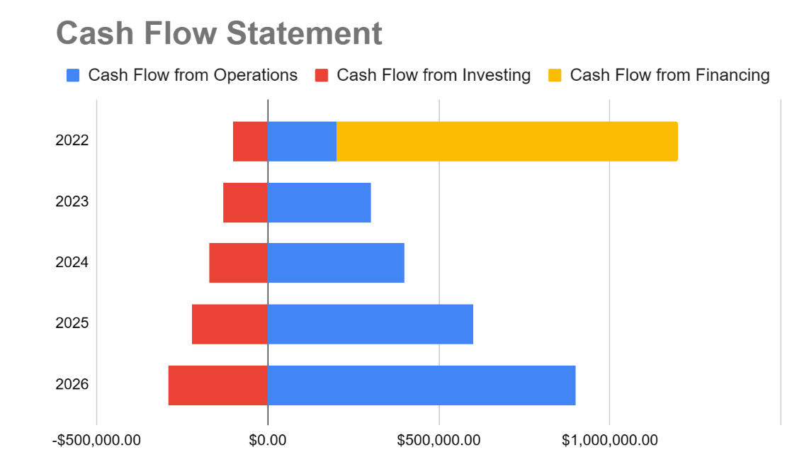 Cash Flow Statement - Microfinance Business Plan