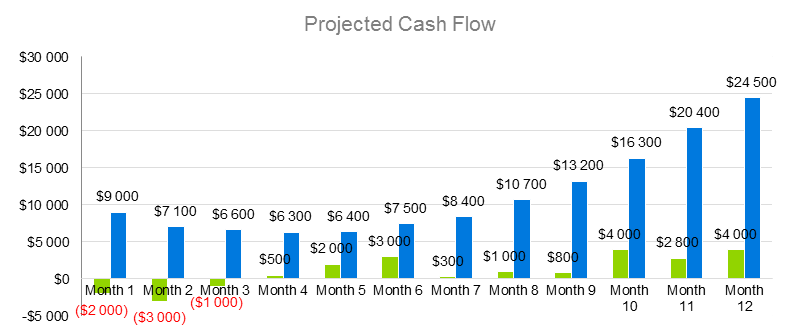 E-Learning Business Plan - Projected Cash Flow