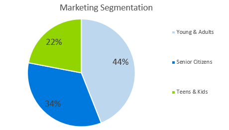 Ecommerce Business Plan - Marketing Segmentation