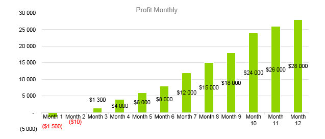 Ecommerce Business Plan - Profit Monthly