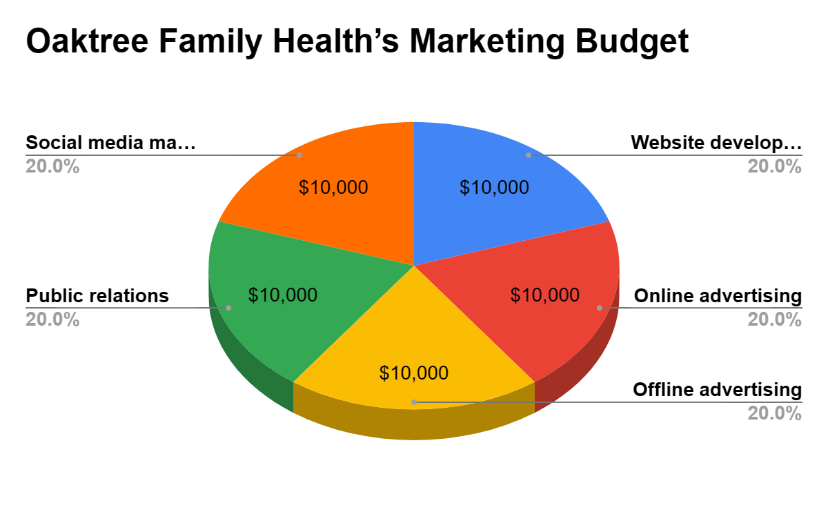 Healthcare and Medical Business Plan - Marketing Budget