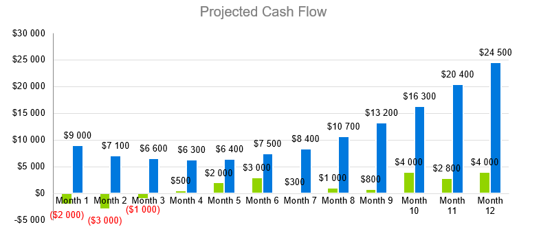 Laser Tag - Projected Cash Flow