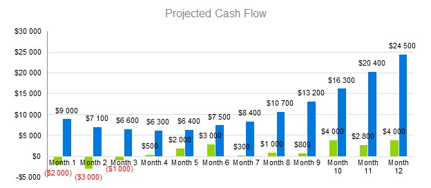 Medical Billing Business Plan - Projected Cash Flow