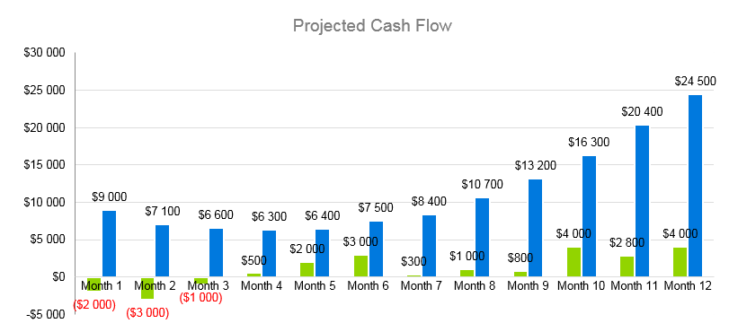 Mobile Spray Tan Business Plan - Projected Cash Flow