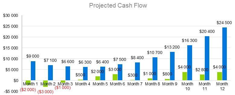 Occupational Therapy Business Plan - Projected Cash Flow