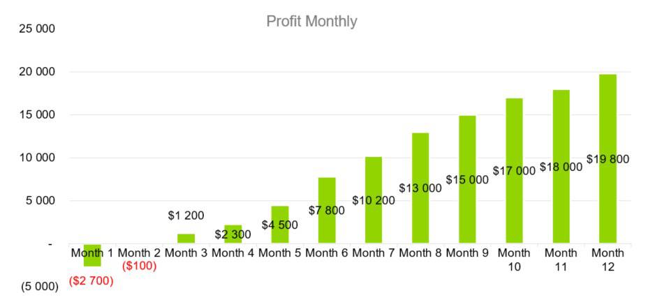 Profit Monthly - education consulting business plan