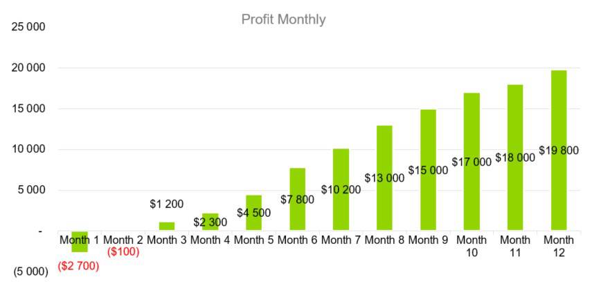 Profit Monthly - Water Park Business Plan Example