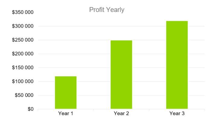 Profit Yearly - education consulting business plan