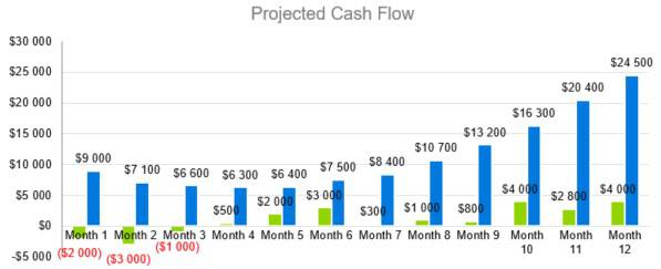 Projected Cash Flow - Courier Company Business Plan Template