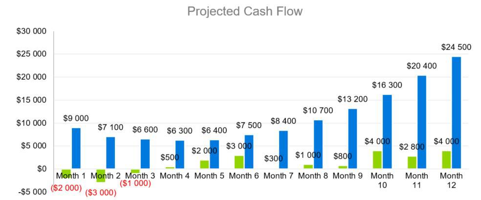 Projected Cash Flow - education consulting business plan