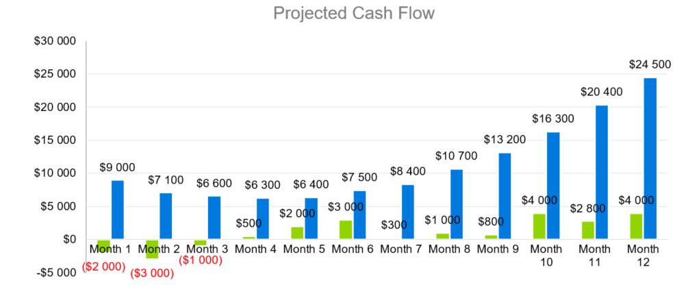 Projected Cash Flow - HR Consultant Business Plan Template