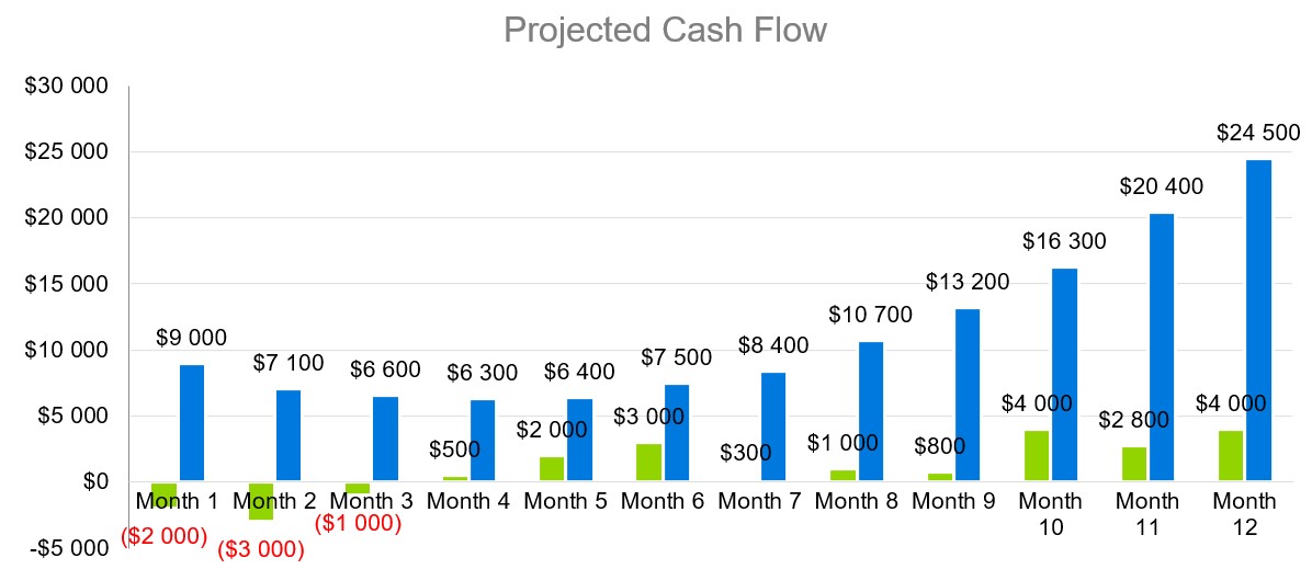 Projected Cash Flow - Transport Business Plan Sample