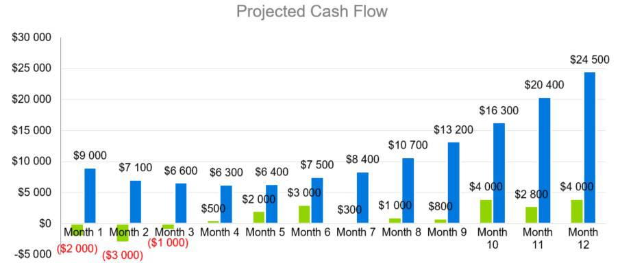 Projected Cash Flow - Water Park Business Plan Example