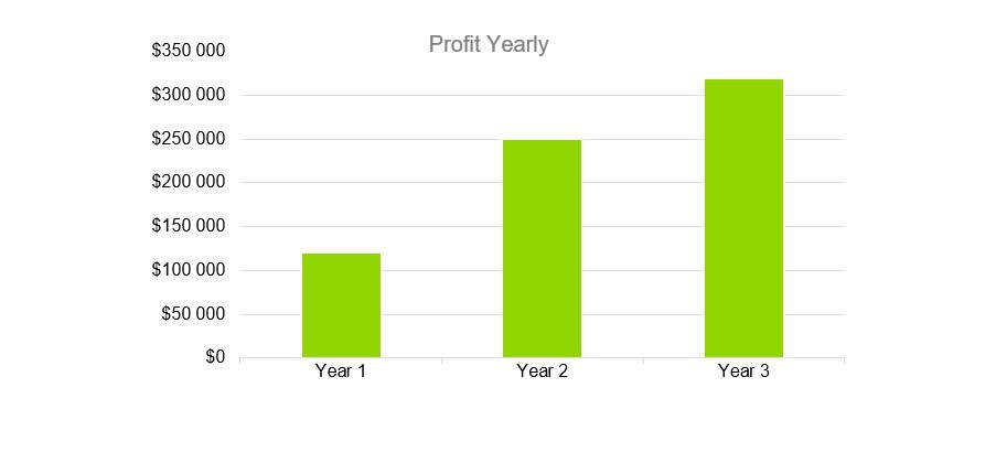 Profit Yearly - Music Business Plans 