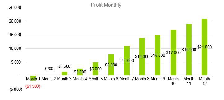 Senior Daycare Business Plan Example - Profit Monthly
