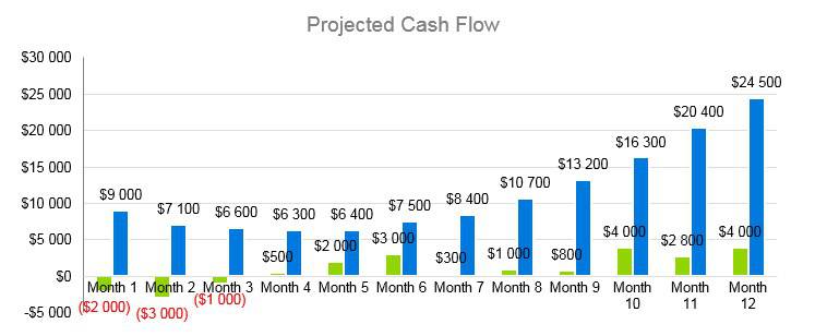 Senior Daycare Business Plan Example - Projected Cash Flow