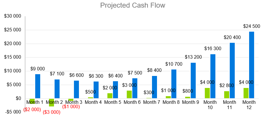 Starbucks Business Plans-Projected Cash Flow
