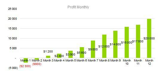 State Farm Business Plan - Profit Monthly