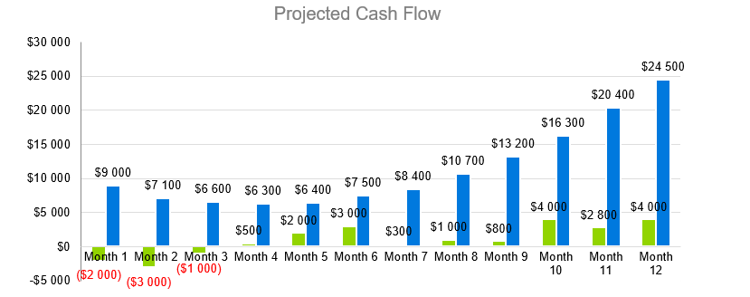 Video Store Business Plan-Projected Cash Flow