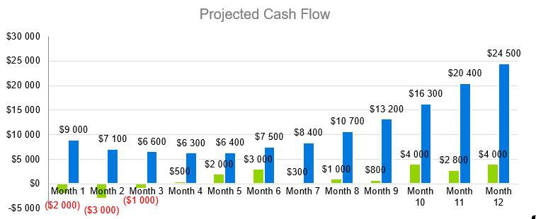 Window Tint Business Plan - Projected Cash Flow