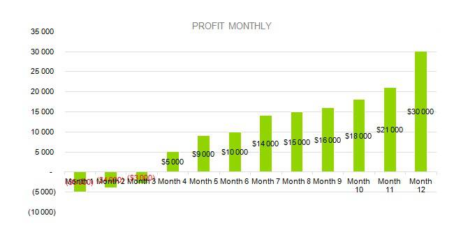 PROFIT MONTHLY - Baby Clothes Business Plan Sample