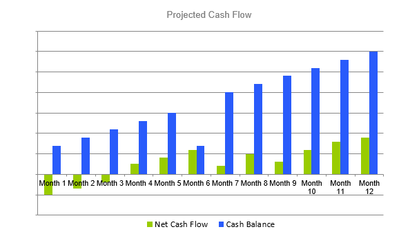 Call Center Business Plan - Projected Cash Flow