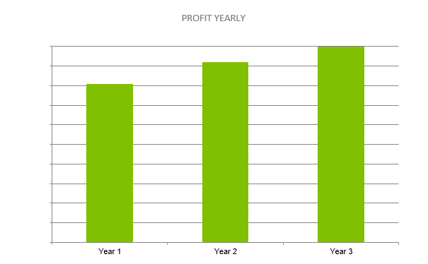 Climbing Gym Business Plan - PROFIT YEARLY