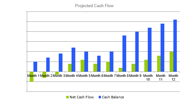 Climbing Gym Business Plan - Projected Cash Flow