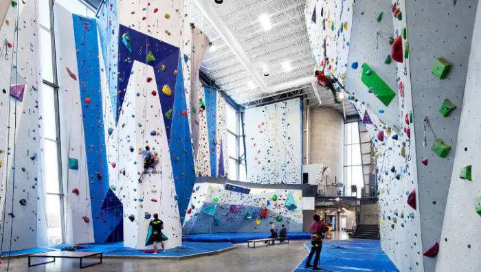 Climbing Gym Business Plan Sample