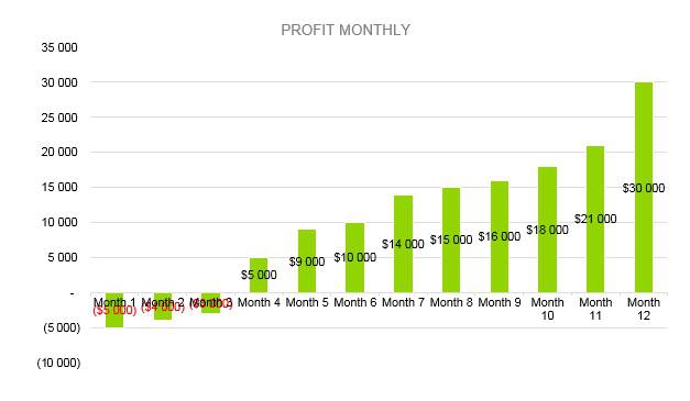 Cyber Security Business Plan - Profit Monthly
