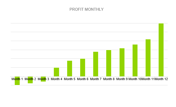 Drop Shipping Business Plan - PROFIT MONTHLY