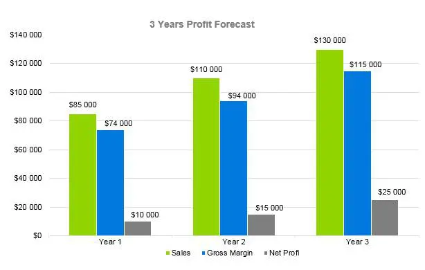 Financial Advisor Business Plan - 3 Years Profit Forecast