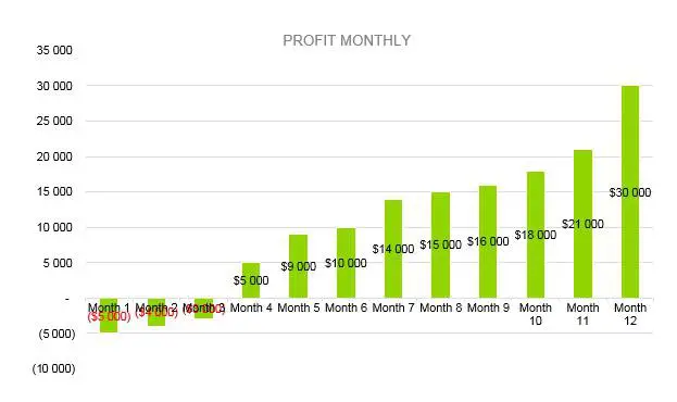 Financial Advisor Business Plan -Profit Monthly
