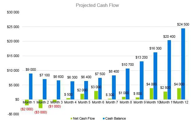 Financial Advisor Business Plan - Projected Cash Flow