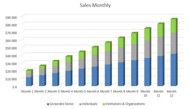 Financial Advisor Business Plan - Sales Monthly