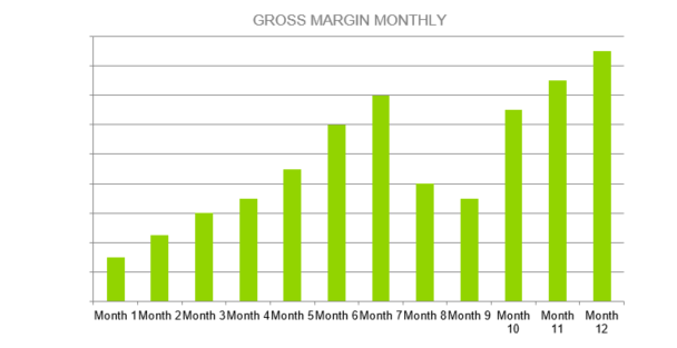 Gas Station Business Plan - GROSS MARGIN MONTHLY