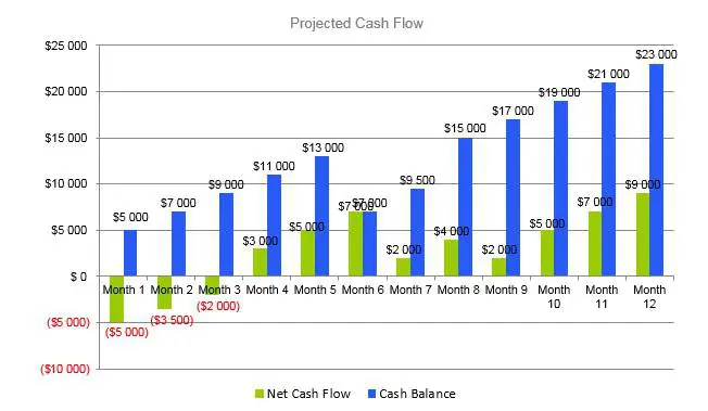 Holding Company Business Plan - Projected Cash Flow