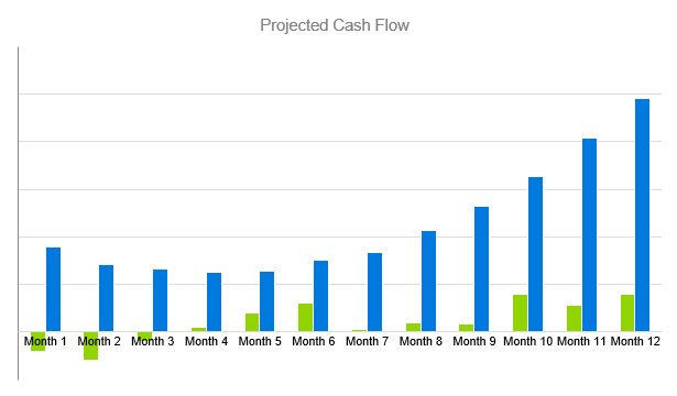 Home Inspection Business Plan - Projected Cash Flow