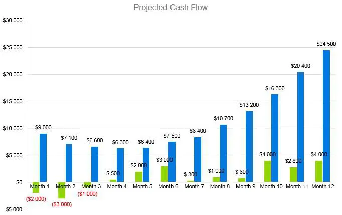 Home Staging Business Plan - Projected Cash Flow