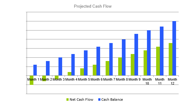 Indoor Sports Complex Proposal Plan - Projected Cash Flow