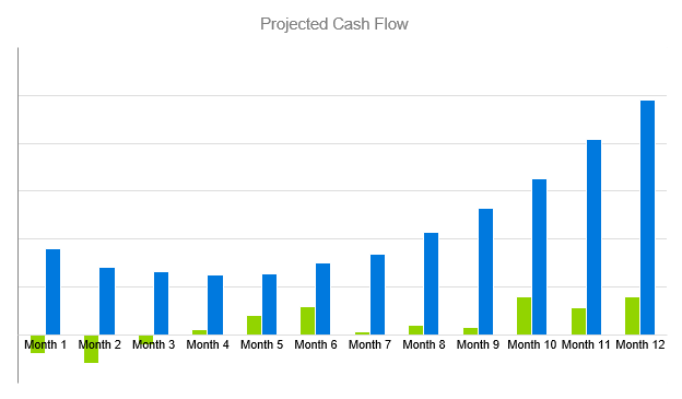 business plan for jewellery business - Projected Cash Flow